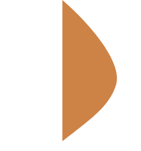 demo-attachment-113-Path-1610